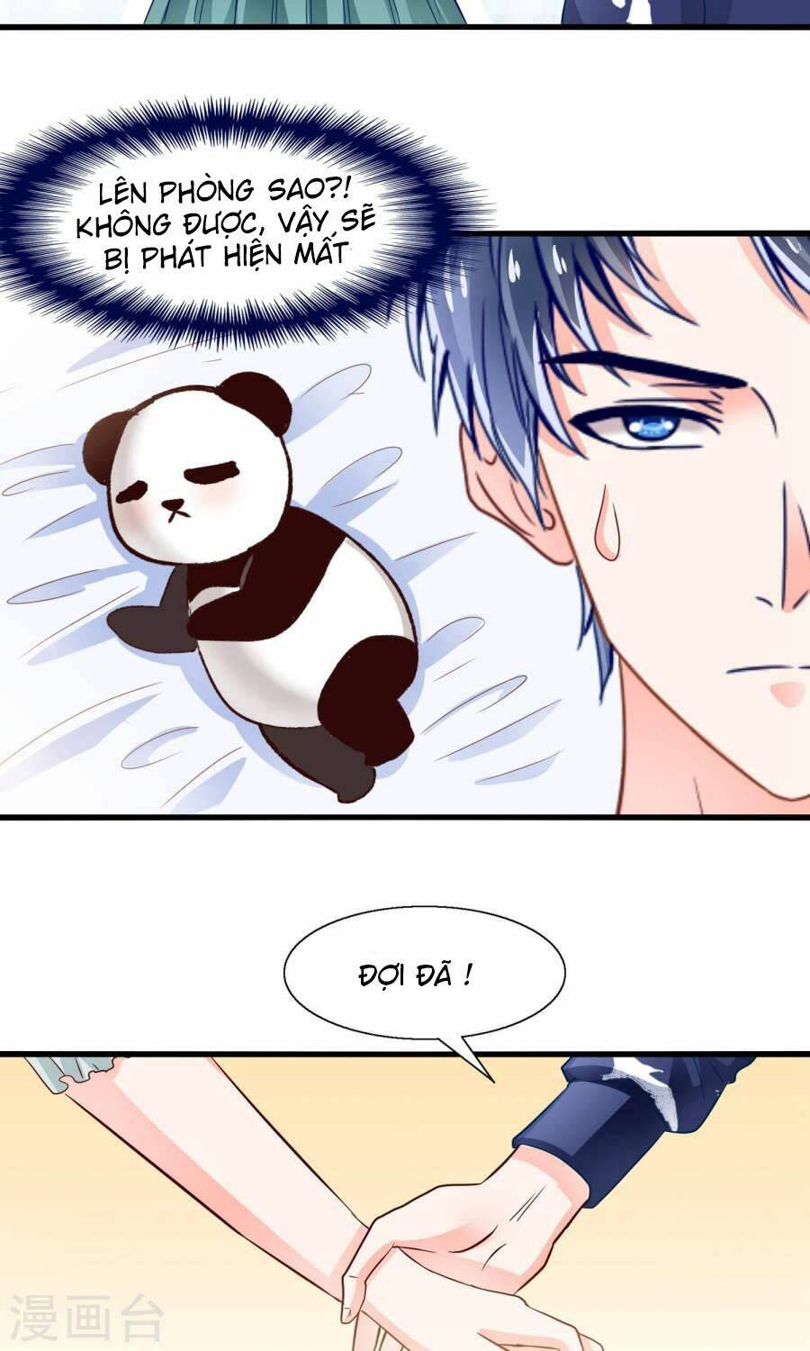 tôi bị gấu trúc nhìn trúng rồi chapter 10 20