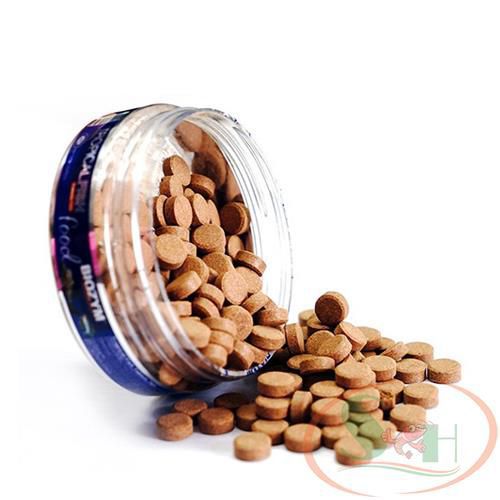 Thức ăn cá Biozym Tropical Fish Food Tablet viên dán hồ kính thả đáy cho cá tép cảnh