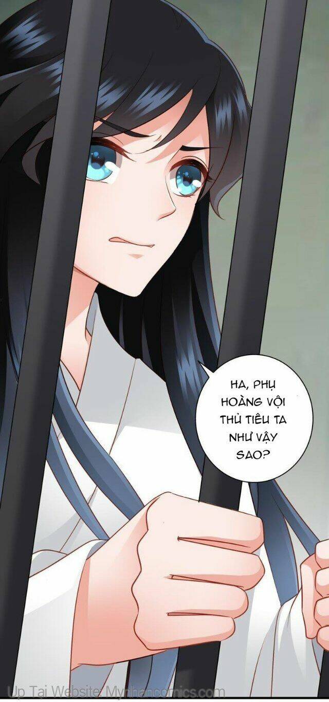 thái tử điện hạ có tin vui chapter 49 4