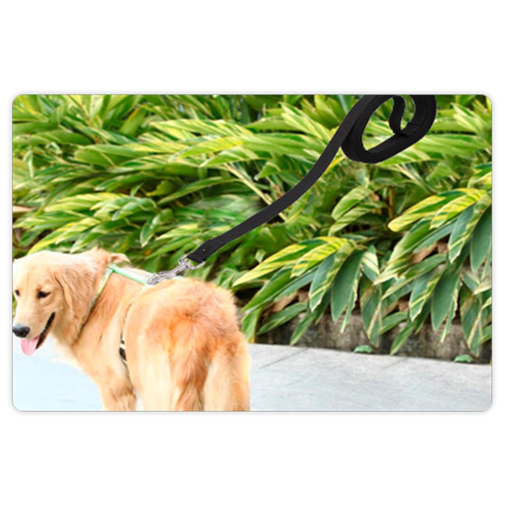 Dây đai dắt chó dài 6m, độ bền cao