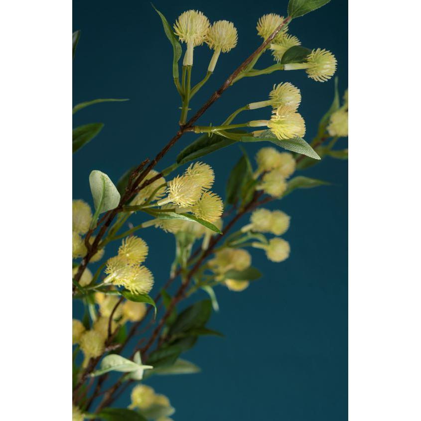 HD8714_Hoa vải Hoa Mimosa Khloris