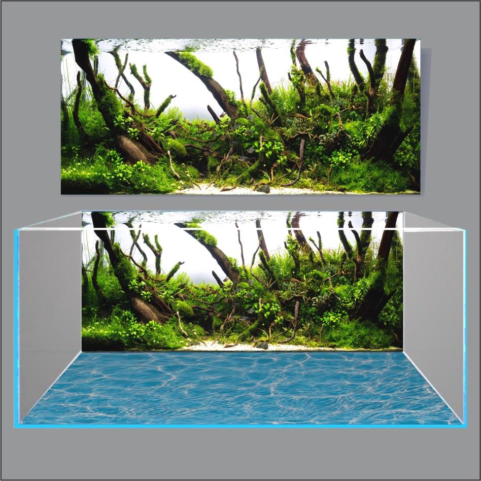 TRANH THỦY SINH DÁN HỒ CÁ 3D NEW DESIGN