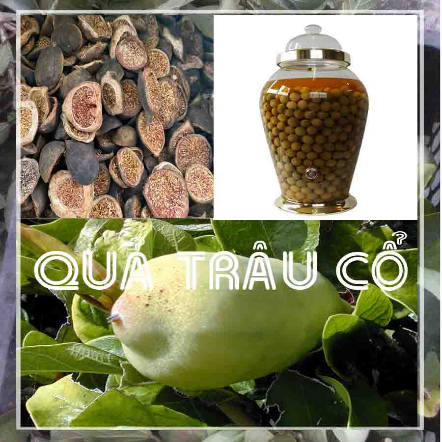 Quả Trâu Cổ khô đóng gói 1kg