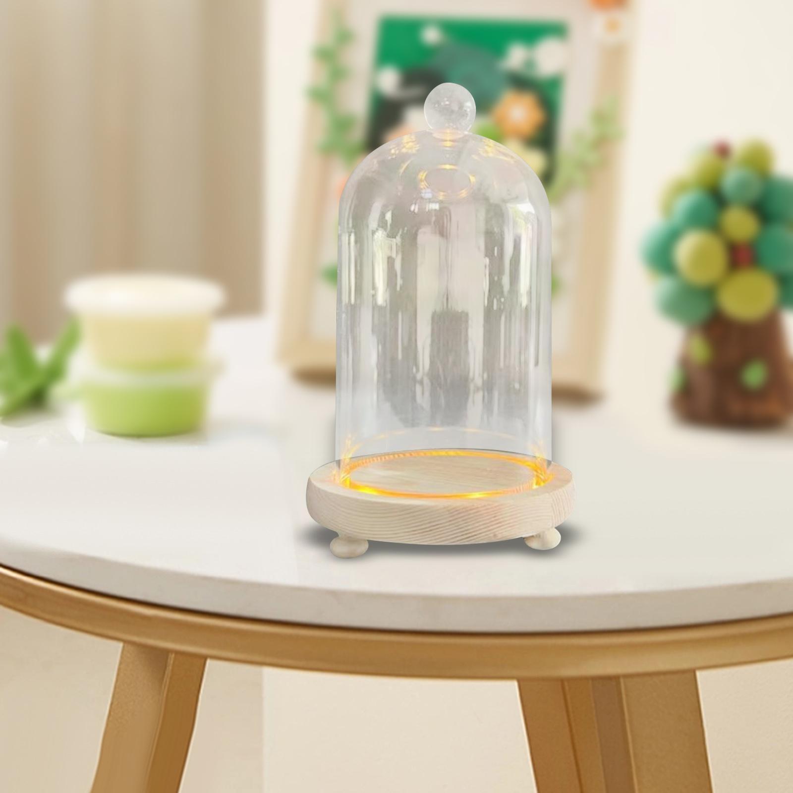 Glass Cloche Dome Eternal Flowers Glass Domes Showcase Transparent Dome Cloche