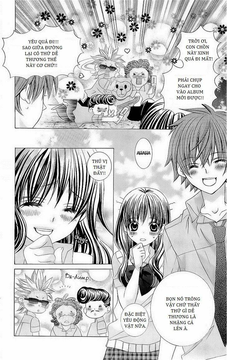 suki desu suzuki-kun!! chapter 43 3