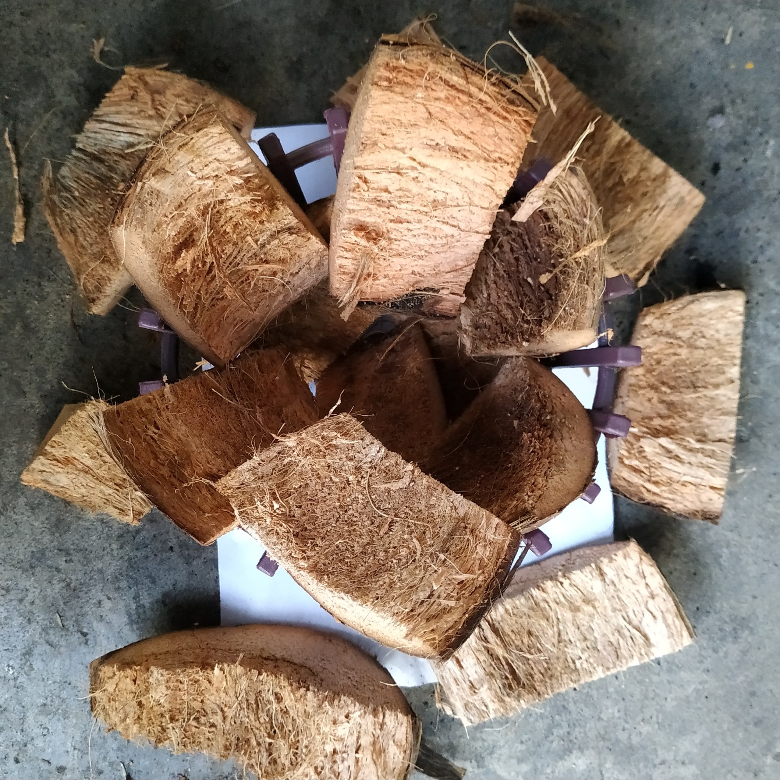 Túi 6.5 lít - Giá Thể Vỏ  Dừa - Xơ Dừa Trồng Lan Đã Xử Lý Mềm Xốp - THÍCH HỢP TRỒNG LAN - DENRO - MOKARA