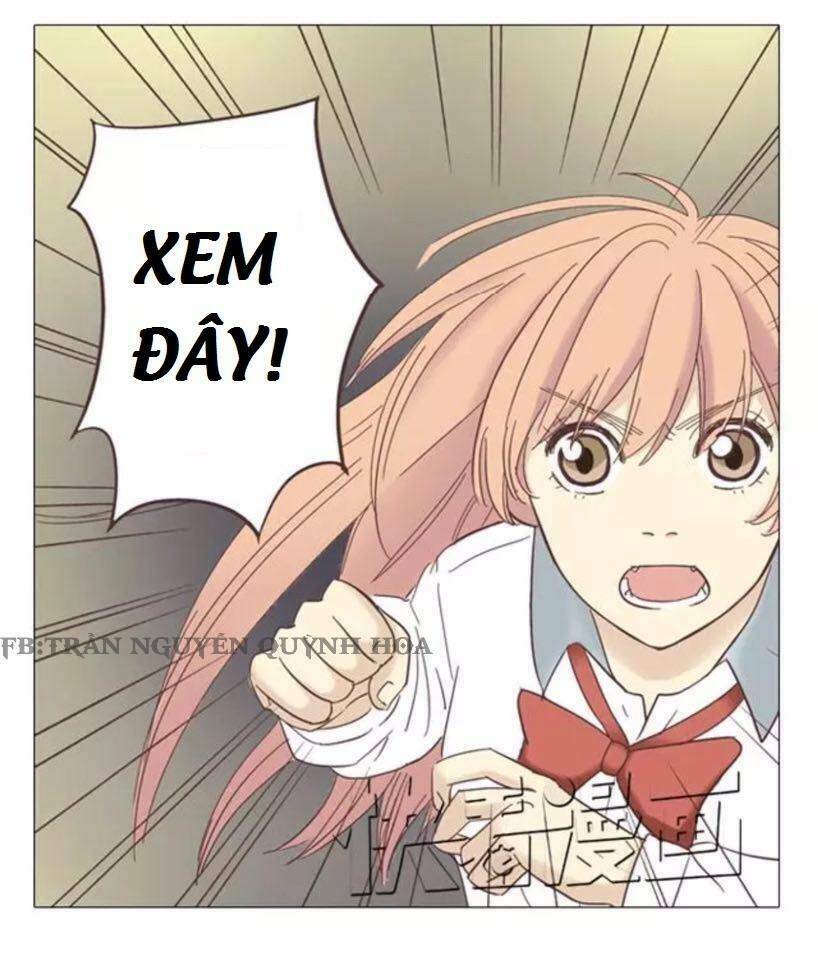 xin chào! dân nữ chapter 11 18