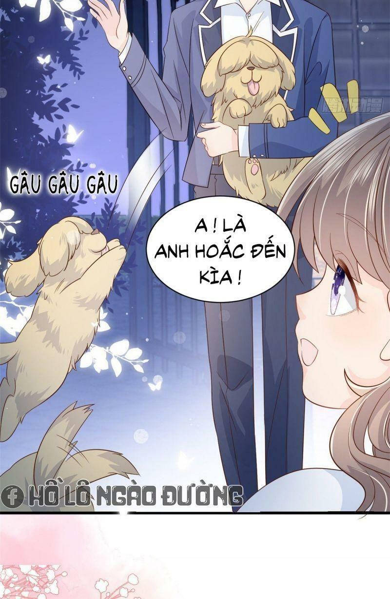 đoàn sủng lão đại ba tuổi rưỡi chapter 16 34