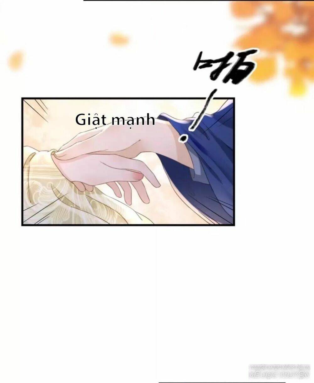 sủng phi của vương chapter 92 26