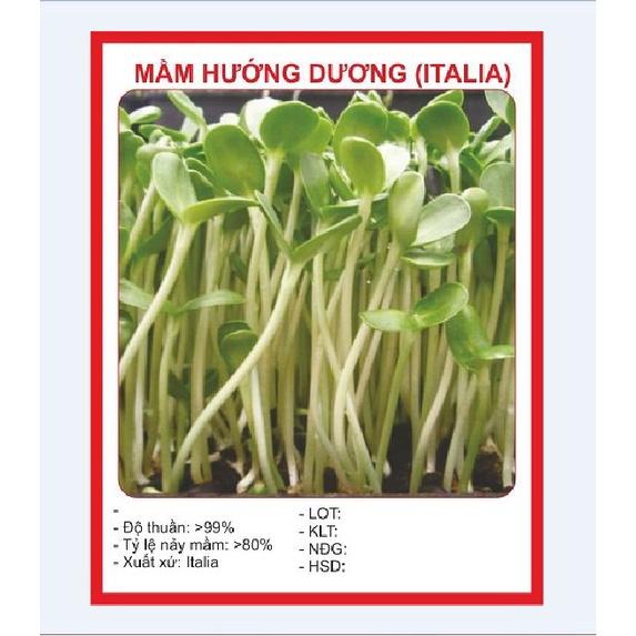 Hạt Giống Rau Mầm Hướng Dương - 1 gói 50g