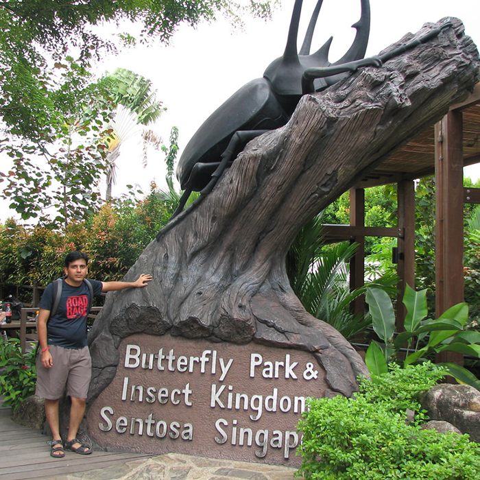 Vé Tham Quan Butterfly Park & Insect Kingdom Singapore