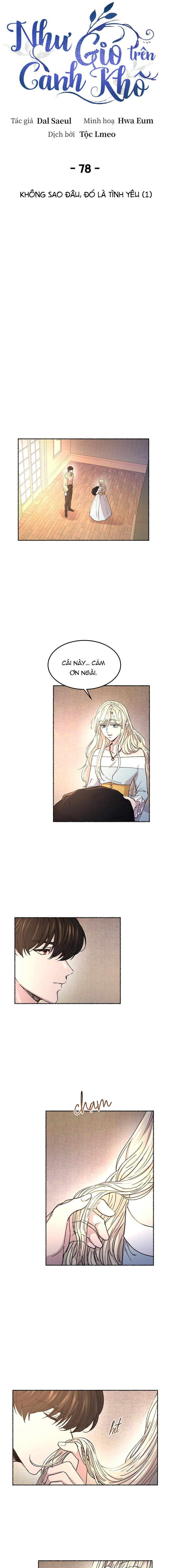 như gió trên cành cây khô chapter 78 20