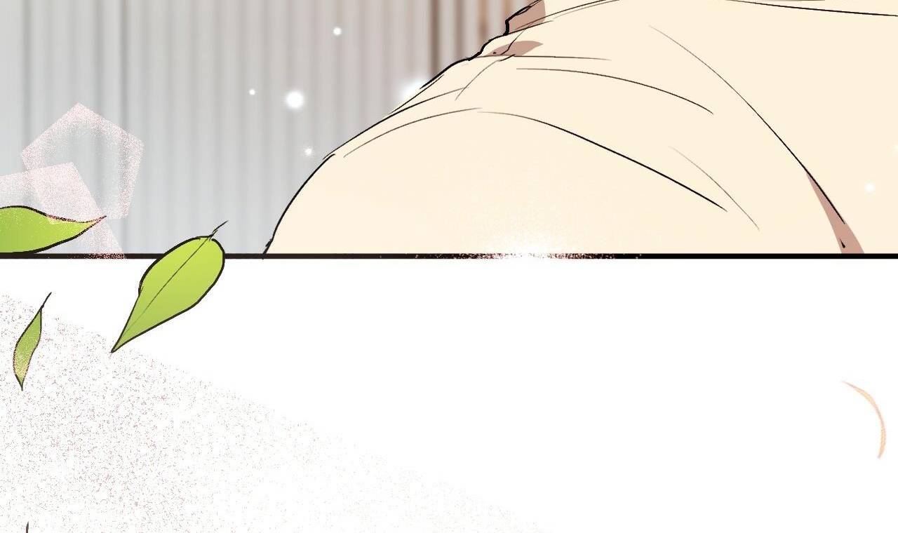 đàn thỏ của habibi chapter 44 251