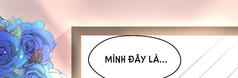 cơ trưởng ngài nhẹ nhàng thôi chapter 4 117