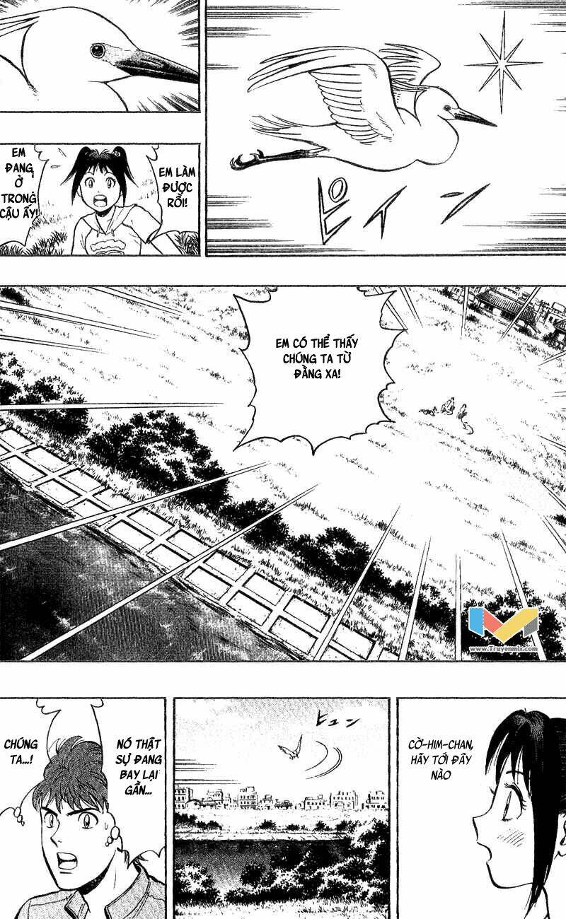 animal sense chapter 4 16