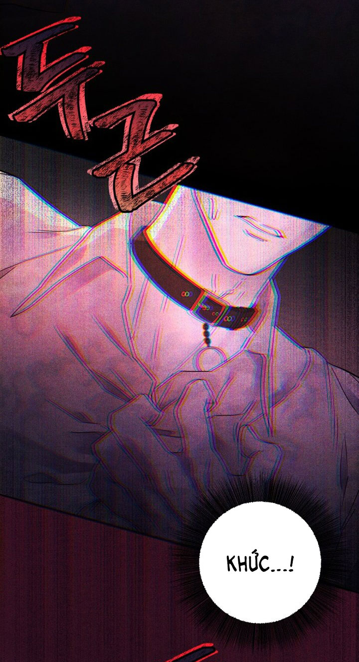 [18+] nếu cứu rỗi một cầm thú hư hỏng chapter 2.2 9