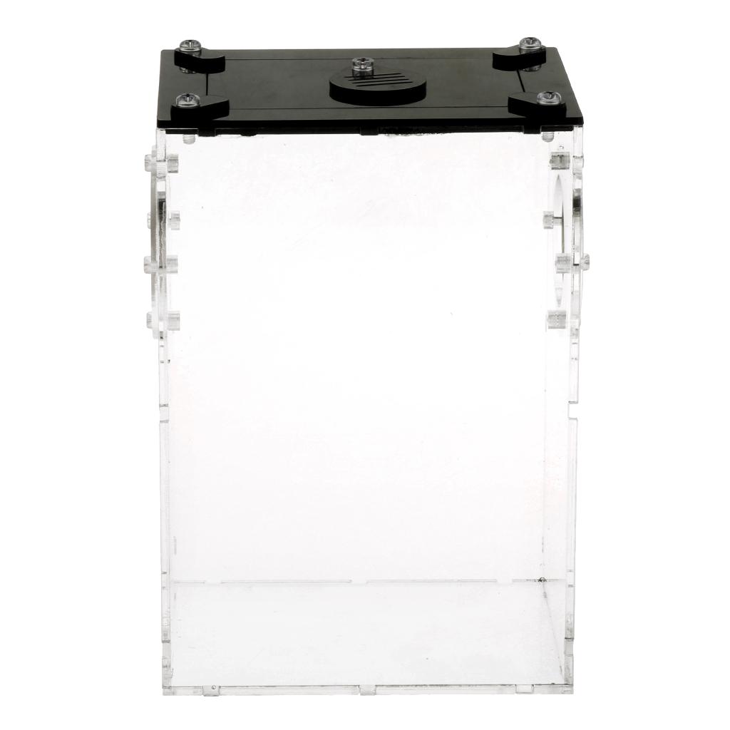 Reptiles Feeding Container Snake Insect Frog Breeding Tank Box Case