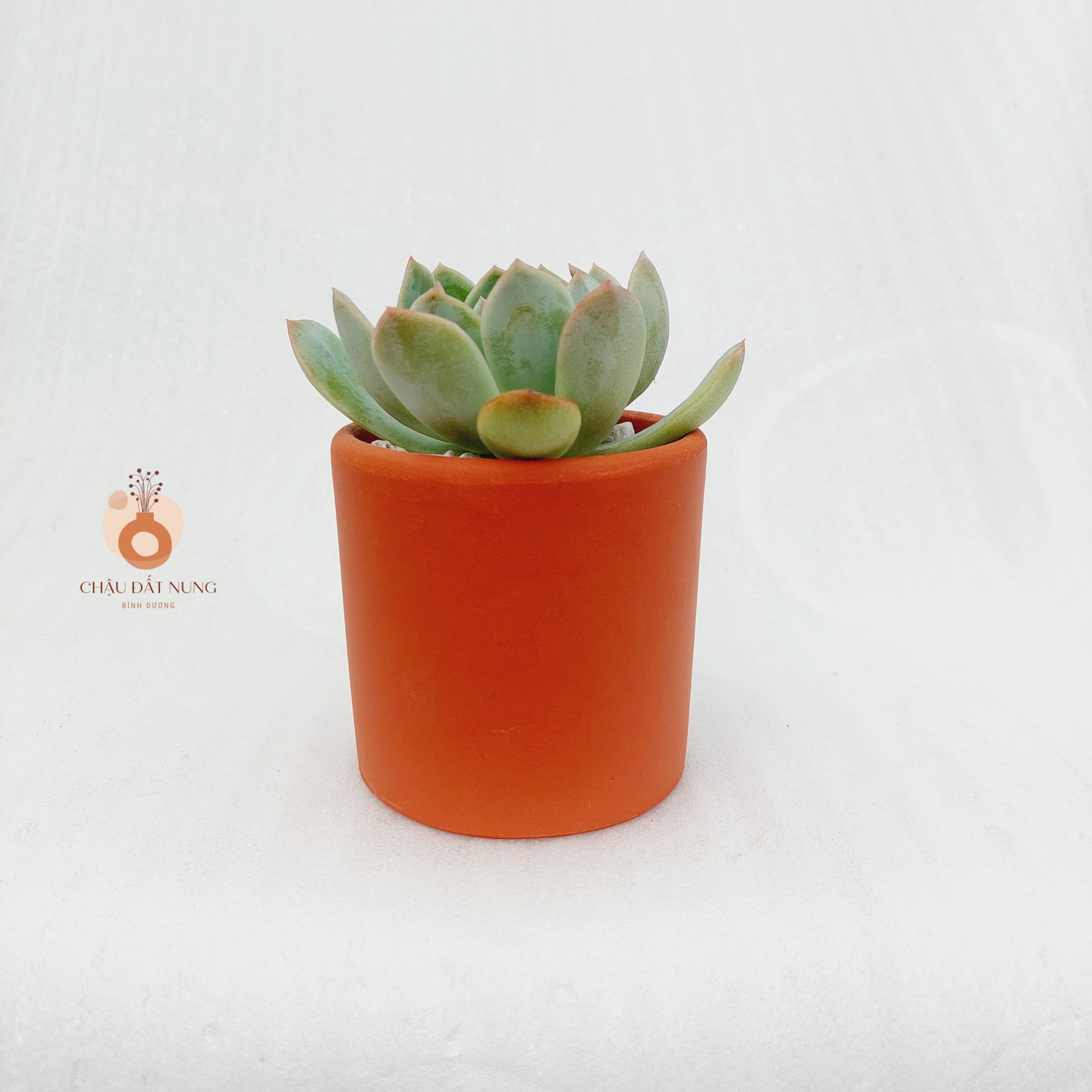Chậu đất nung Bình Dương - Trụ 75, miệng chậu 7.5cm, chiều cao 7.5cm