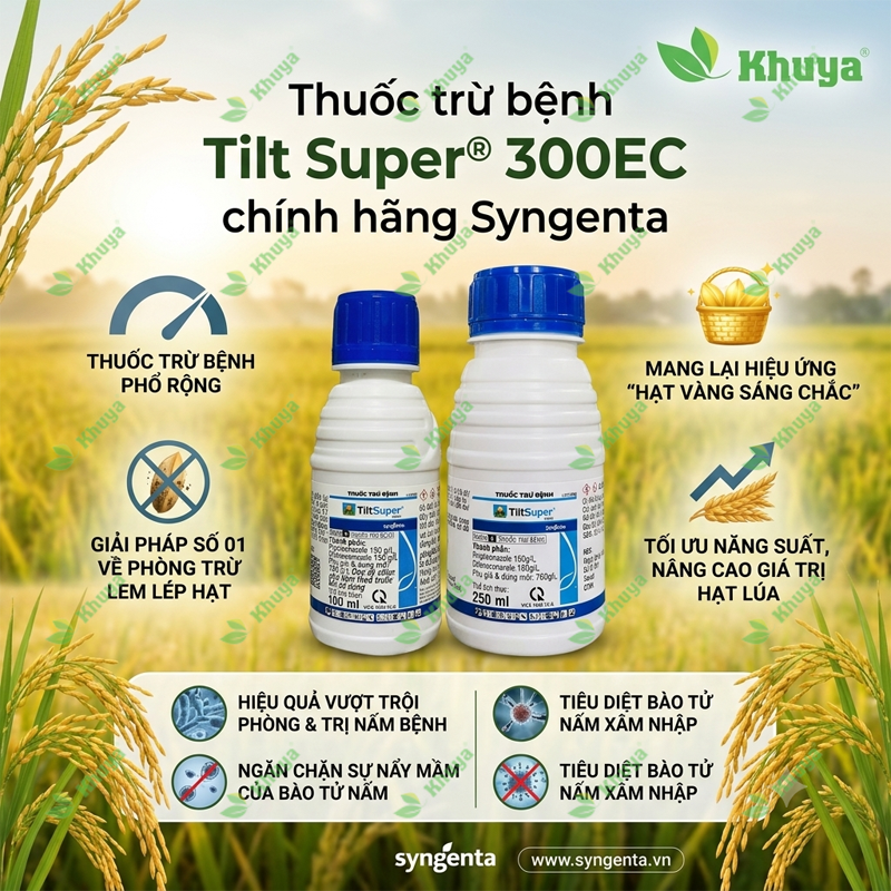 Thuốc trừ bệnh Syngenta Tilt Super 300EC Lem Lép Hạt và Đốm Vằn