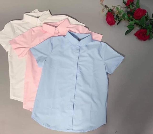 ÁO SƠ MI CỘC TAY