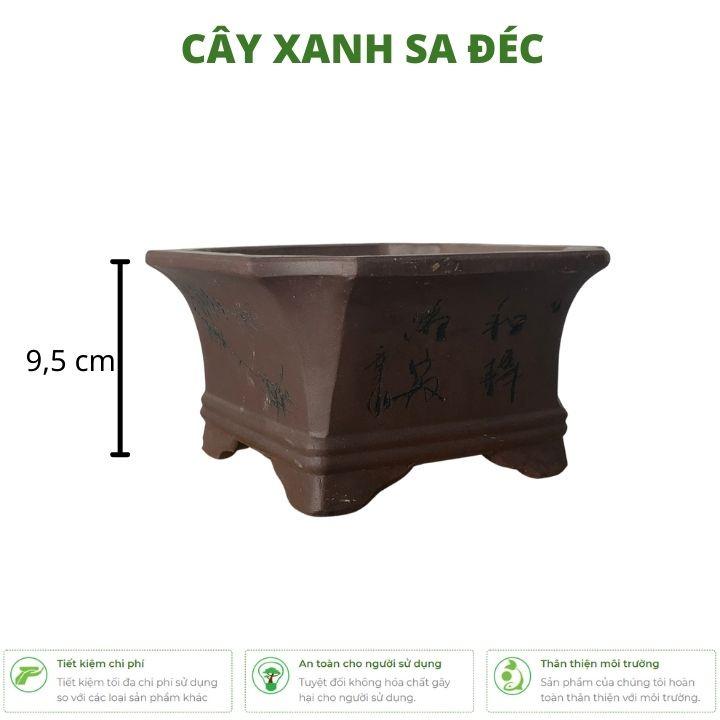 Chậu vuông mini hoa văn chữ tàu CK11 dùng trồng cây để bàn, văn phòng, quán cafe, sân vườn