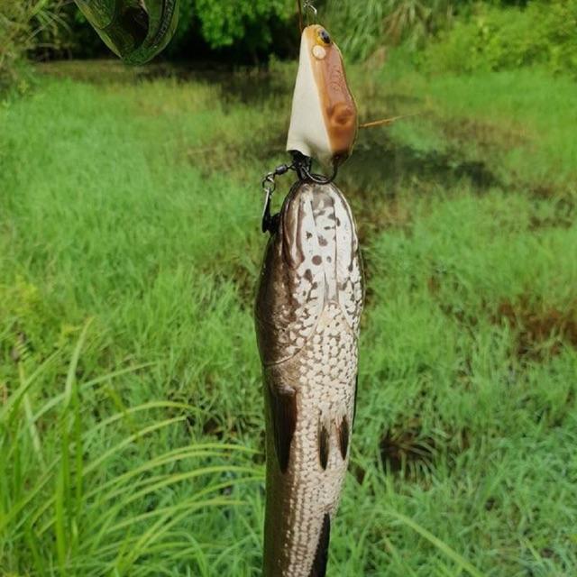 Mồi giả nhái hơi Frogtoon V1,V2,V3,V4