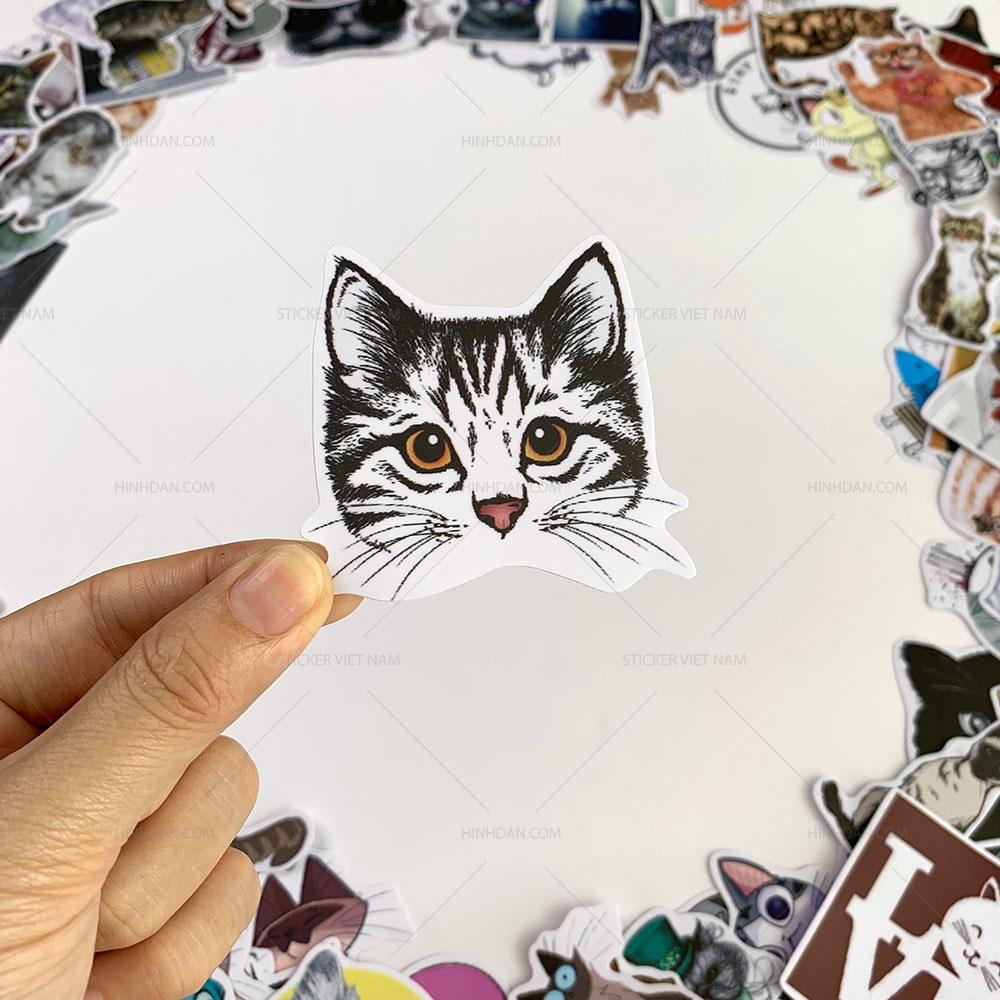 Bộ sticker chủ đề Mèo - Cat - Boss 2019, decal hình dán thú cưng  chống nước, trang trí nón bảo hiểm, điện thoại, lap top