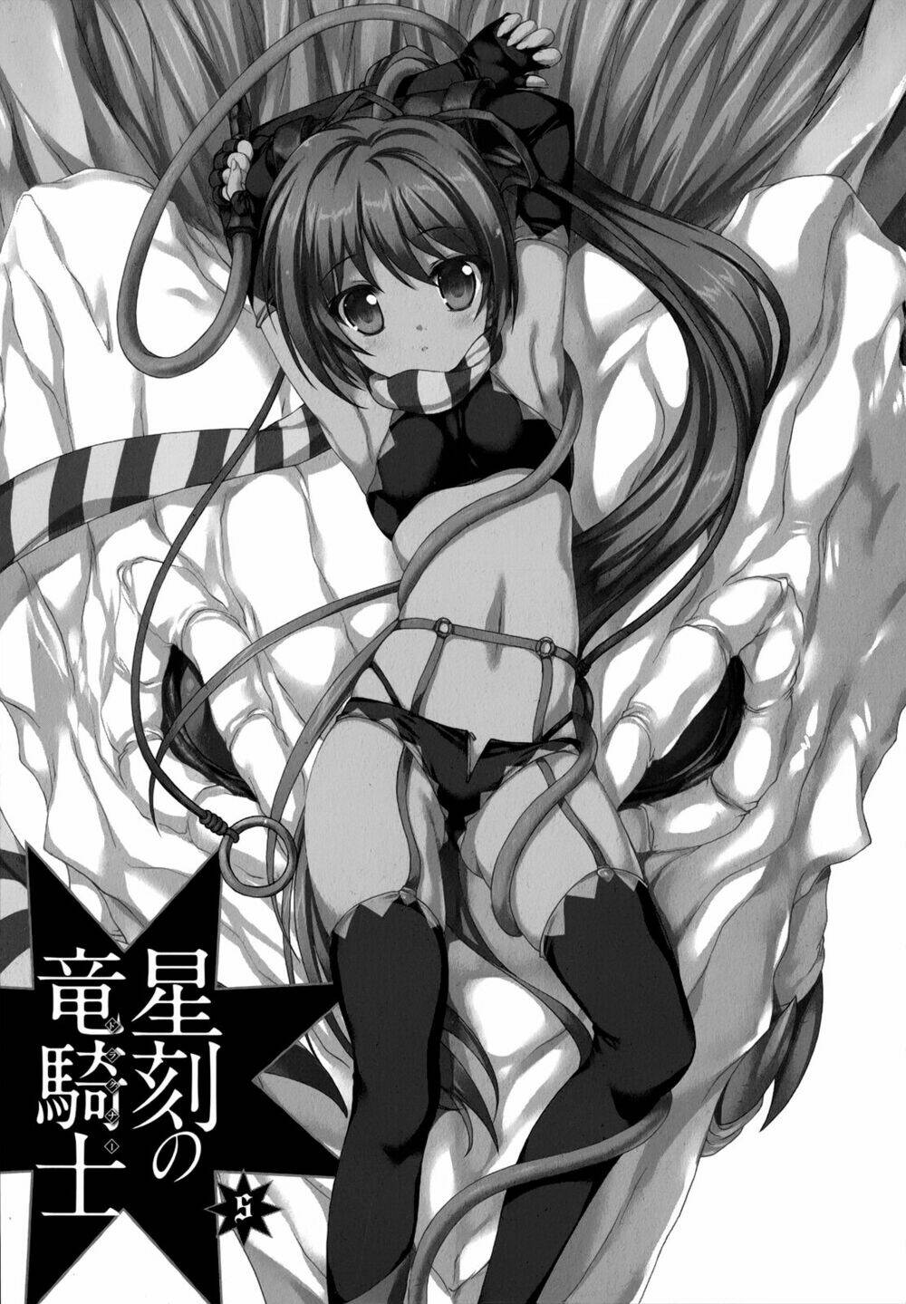 seikoku no dragonar chapter 21 3