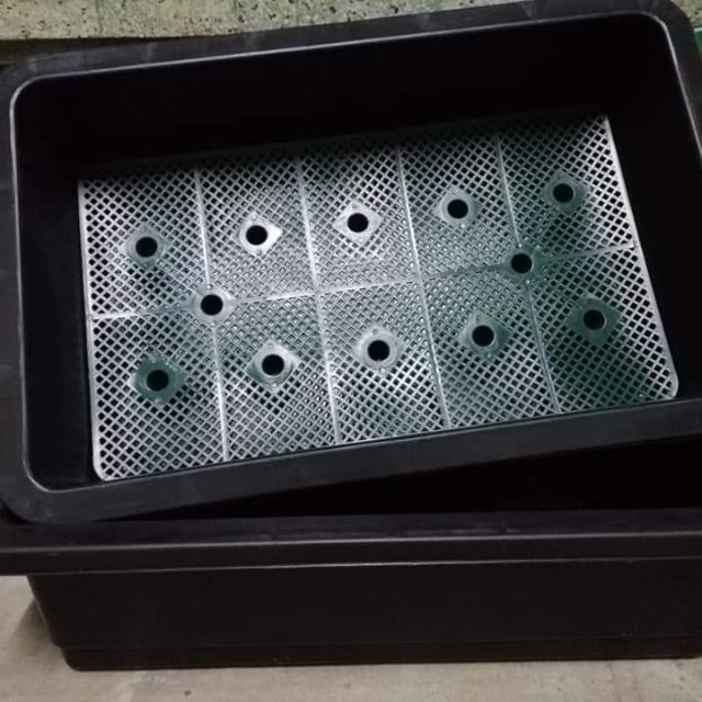 Combo 05 Khay Nhựa Trồng Rau Kích Thước 63x42x16cm