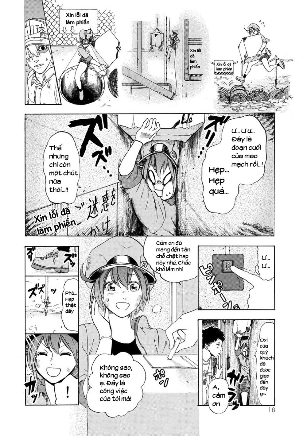 hataraku saibou! chapter 10 19