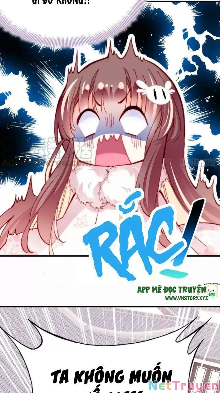 lại bị bệnh chiều chuộng quấn lấy chapter 32 55