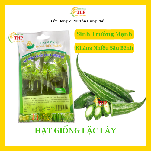 Hạt giống Lặc Lày lai F1Glory 01 | Hạt giống | gói 1gr