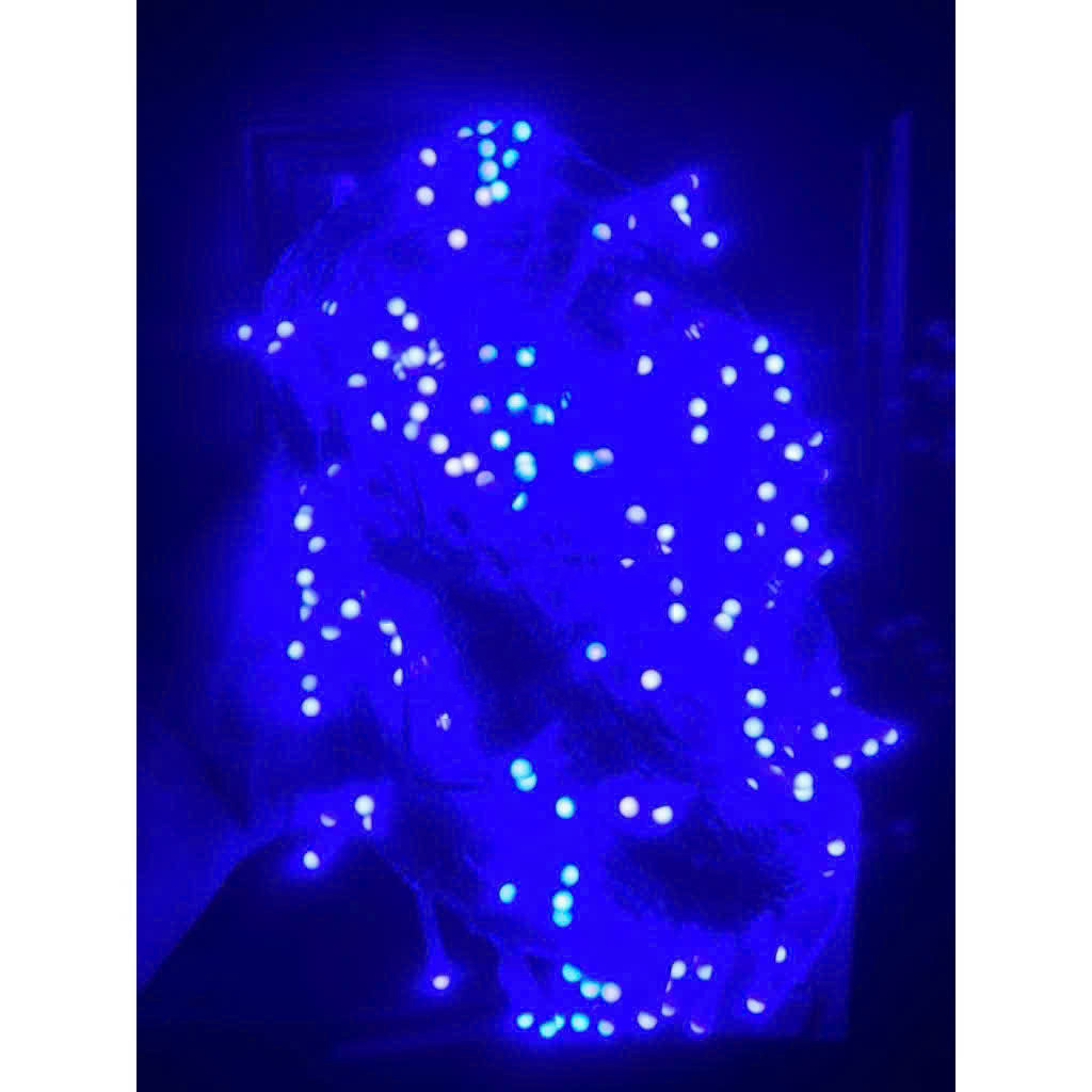 Dây Đèn Dp Màu Xanh Dương 8 Chế Độ Chớp Dài 80M Bóng Lớn V8 Có Box Điều Chỉnh Và Đầu Nối