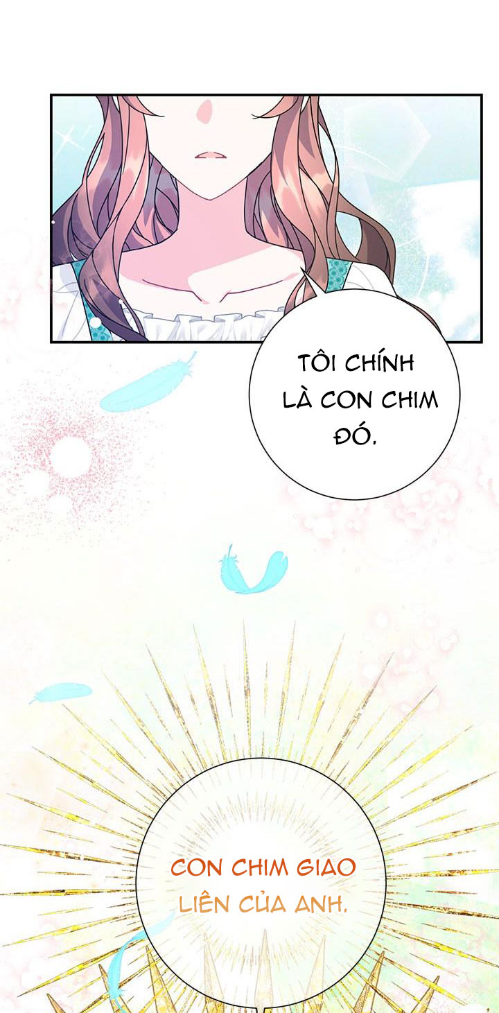 công chúa của loài chim chapter 52.1 13