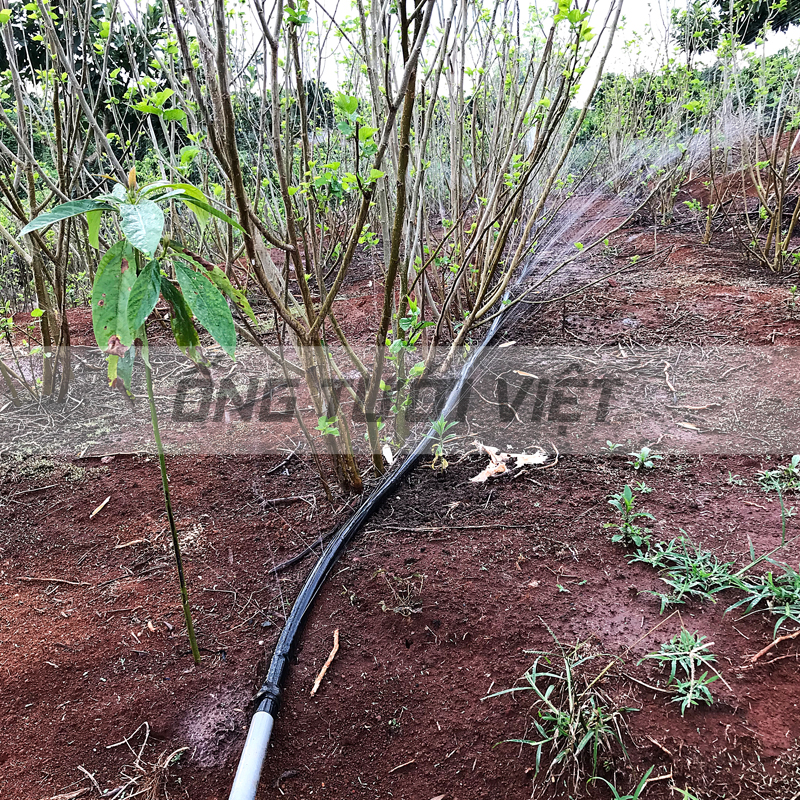 100m Ống dây tưới phun mưa Nguyễn Tân phi 42 | Ống mềm sử dụng trong hệ thống tưới nông nghiệp