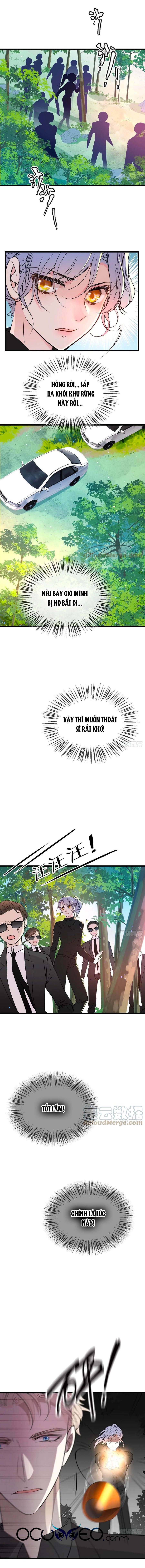 một vợ yêu, một bé con chapter 98 1