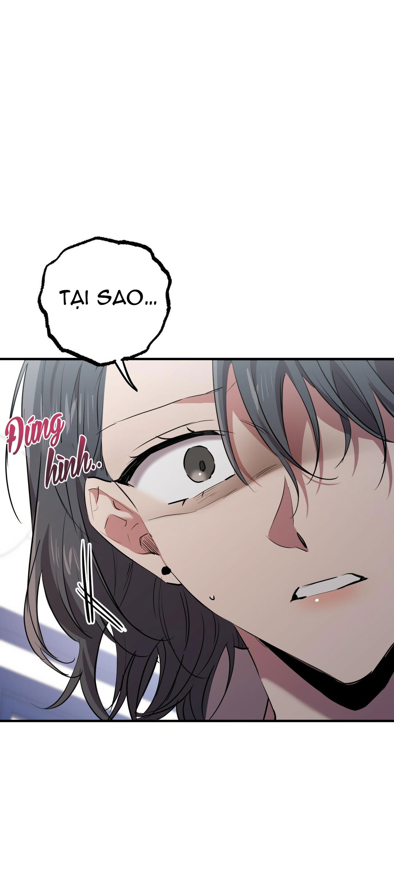 những chú thỏ của hapypy chapter 34 33