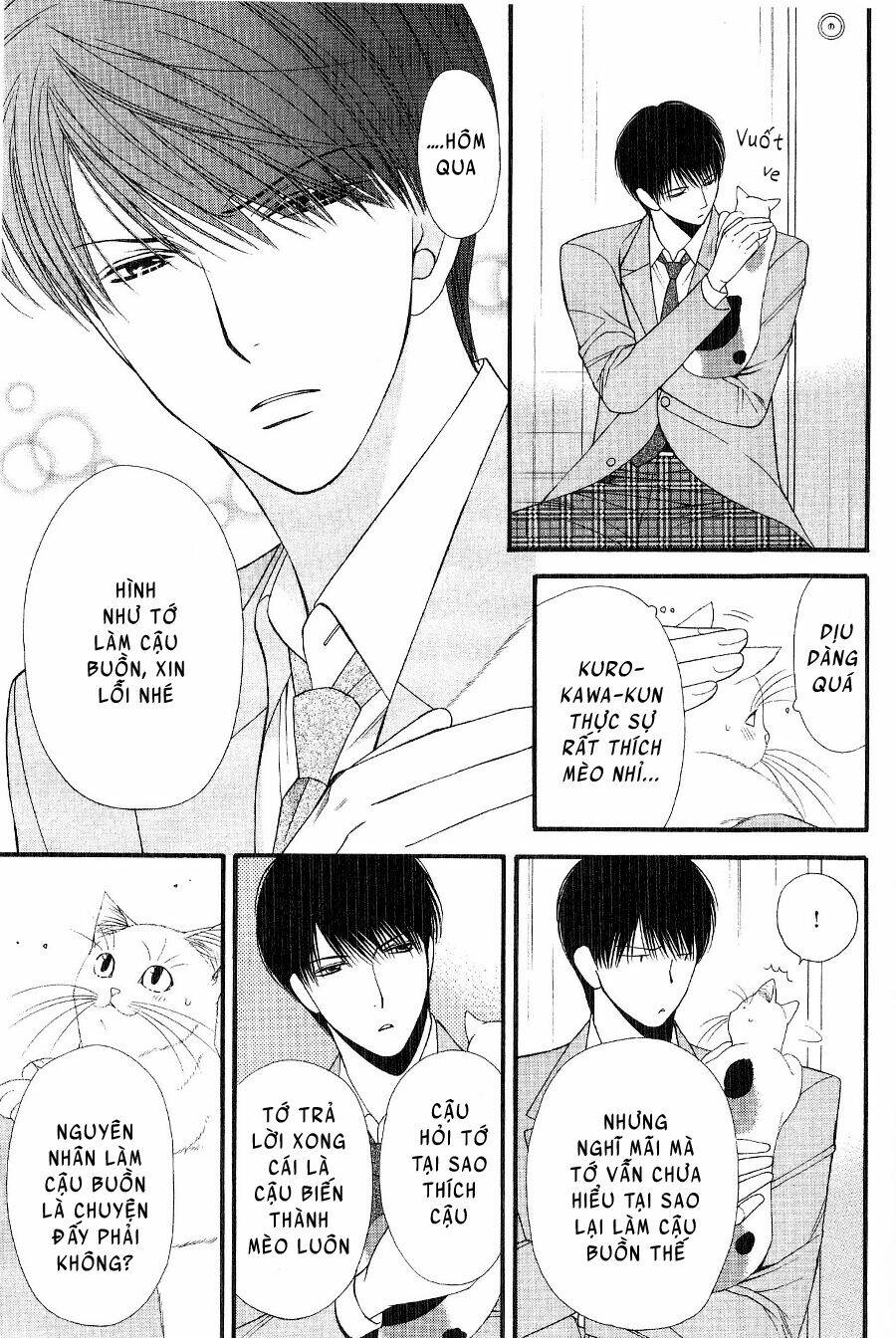 neko neko honey chapter 12 13