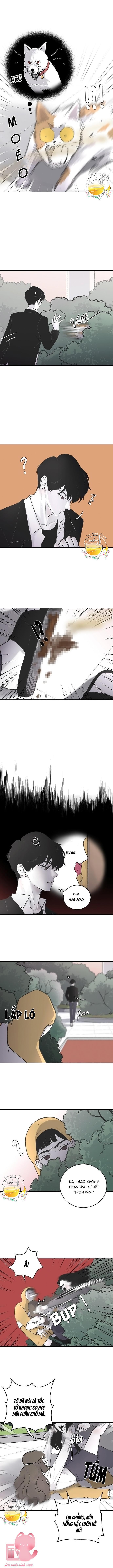 ba anh trai cực phẩm của tôi chapter 4 5