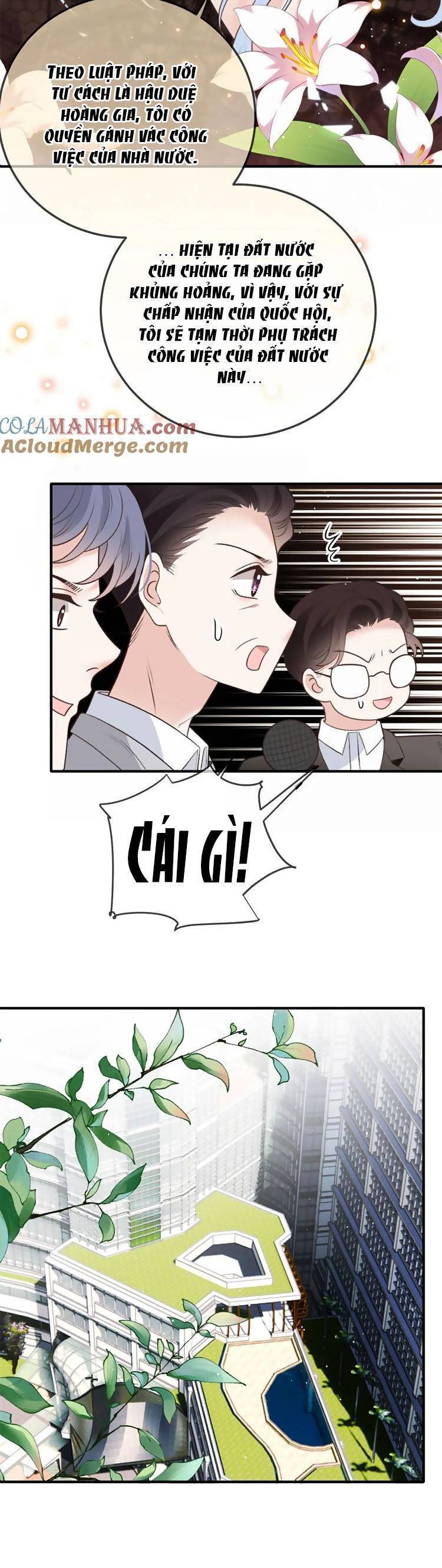 một vợ yêu, một bé con chapter 285 15