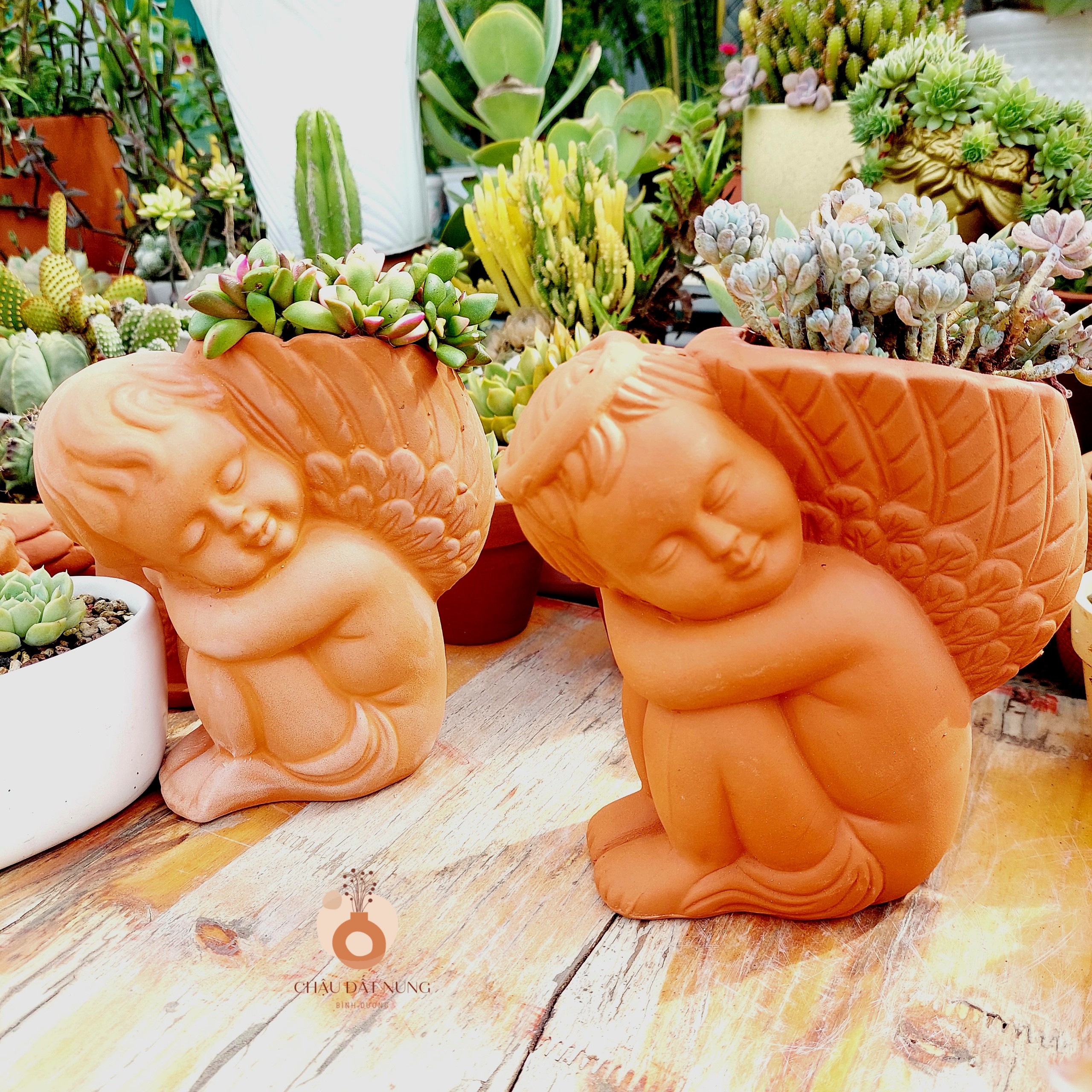 Chậu đất nung Bình Dương - Thiên thần 917, miệng chậu 9cm, chiều cao 17cm