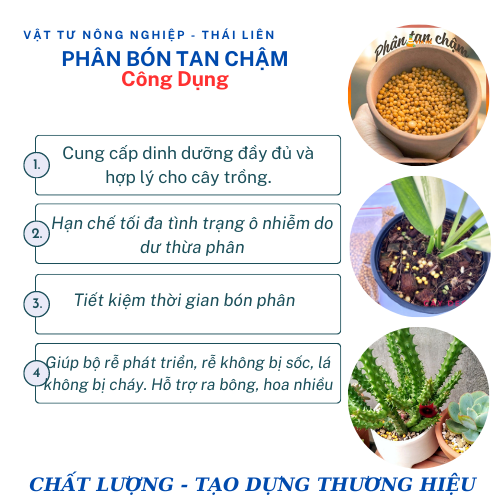 Phân tan chậm thái lan phân vàng Osmocote 14-14-14 túi 100g tiện lợi trồng xương rồng sen đá