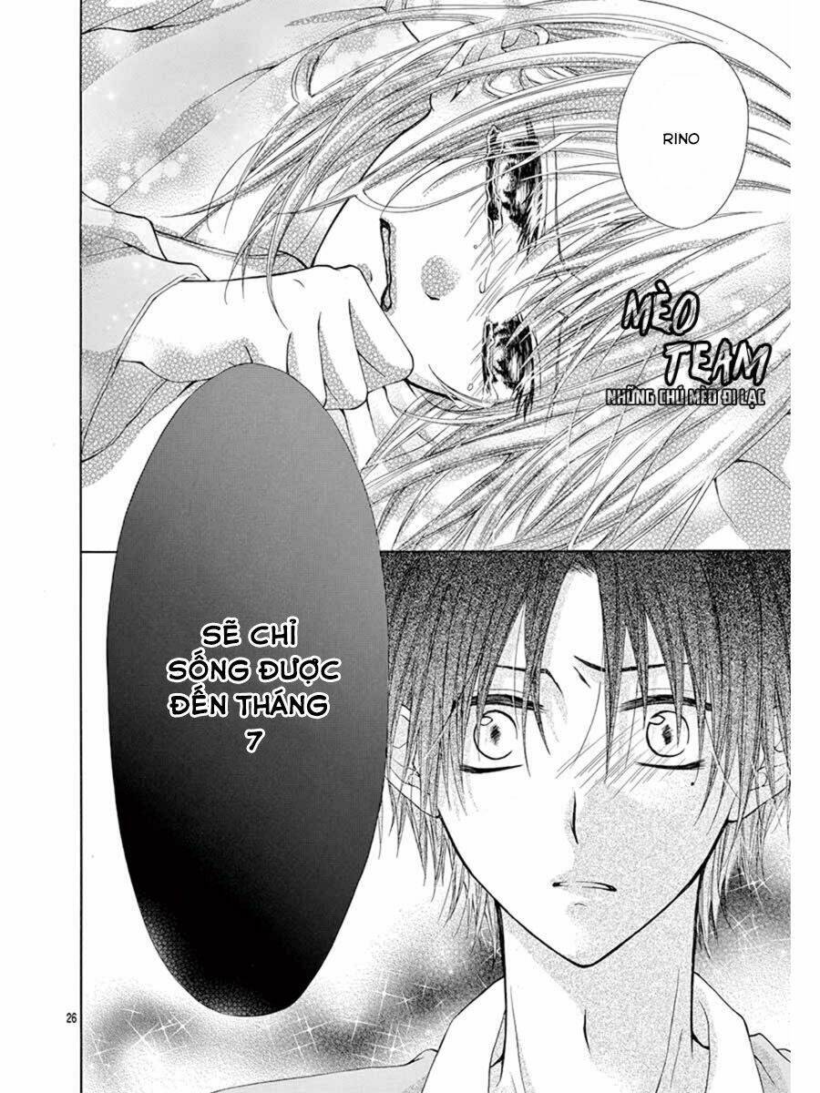 tớ muốn xem pháo hoa cậu làm chapter 1 31