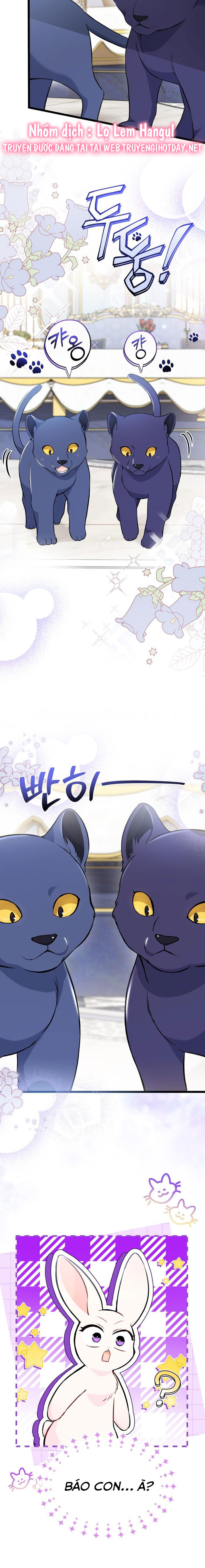 mối liên kết giữa báo đen và bé thỏ chapter 134 3