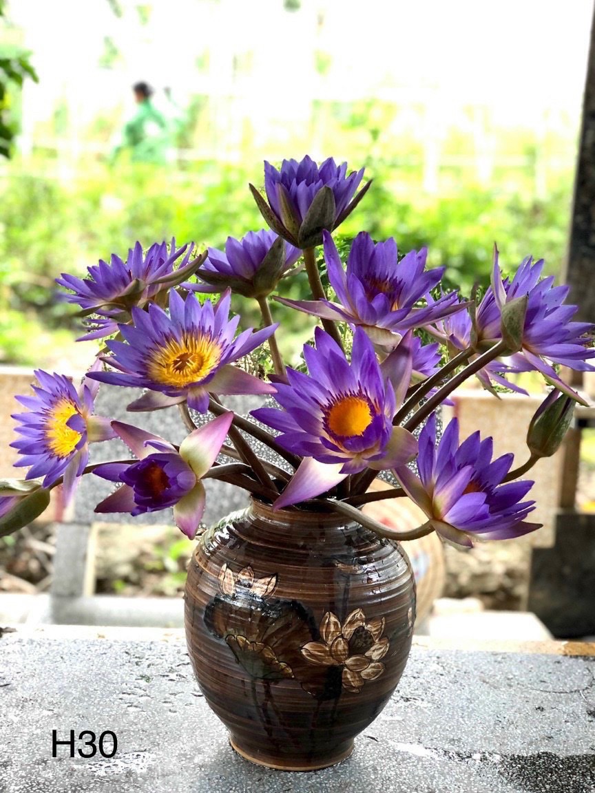 VÒ TRÒN MEN MỘC VẼ HOA H30CM