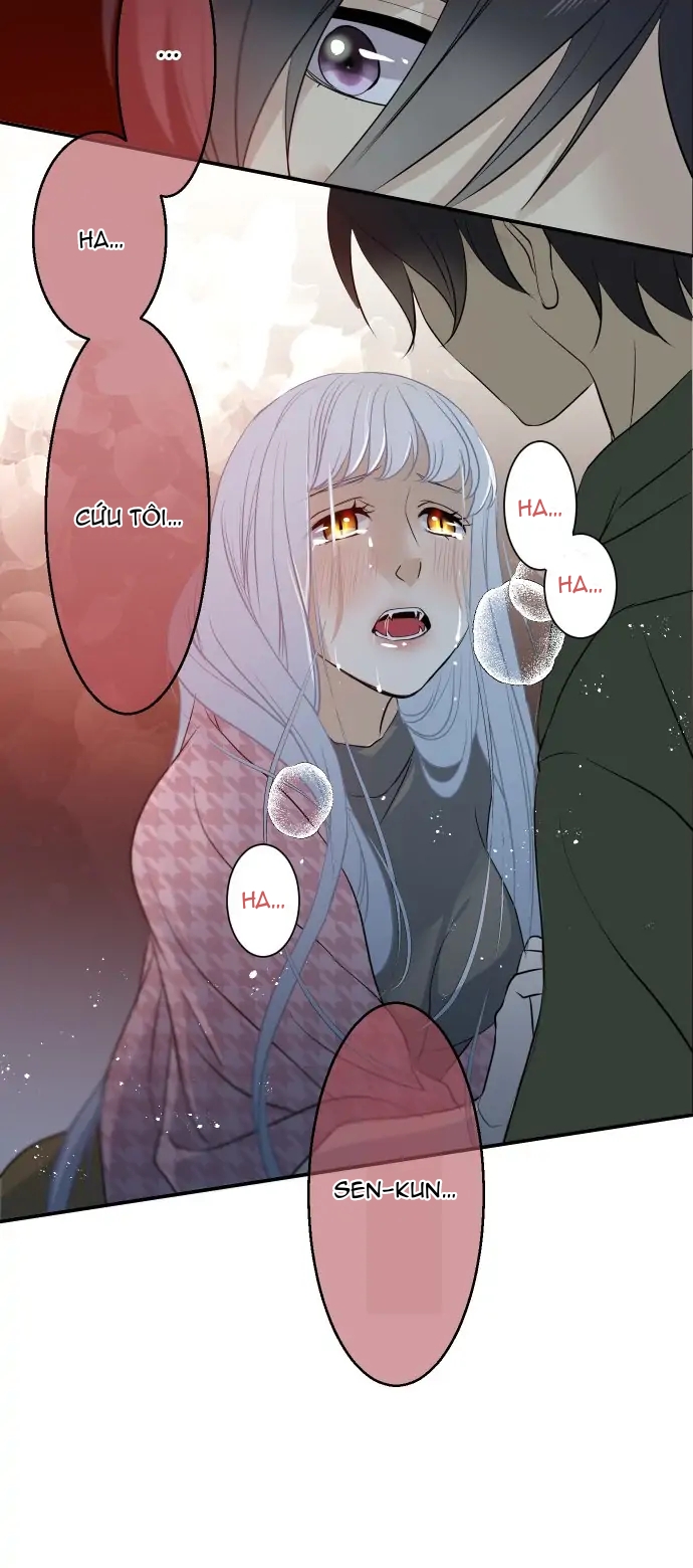 phục tùng tuyệt đối nữ thần rắn chapter 10 24