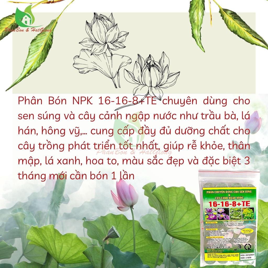 Phân Bón Hoa Sen Và Cây Ngập Nước NPK 16-16-8+TE Gói 24 Viên