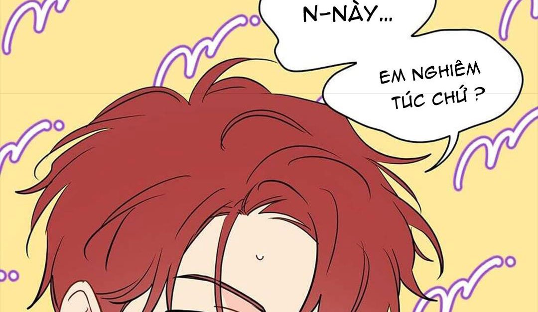 chuyện quái gì với giấc mơ đó vậy chapter 39 138
