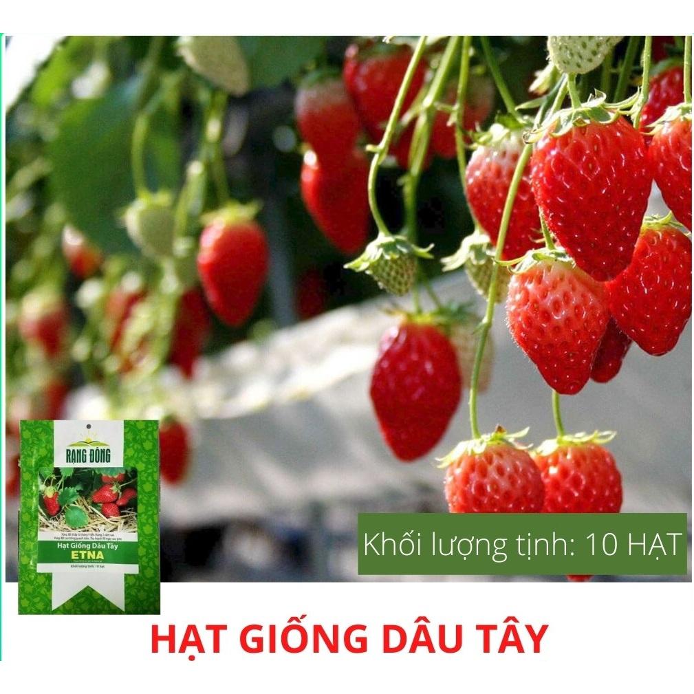 Hạt giống Dâu Tây chịu nhiệt Etna Rạng Đông GÓI 10 HẠT Dâu tây có màu đỏ tươi, mọng nước, hương vị ngọt ngào