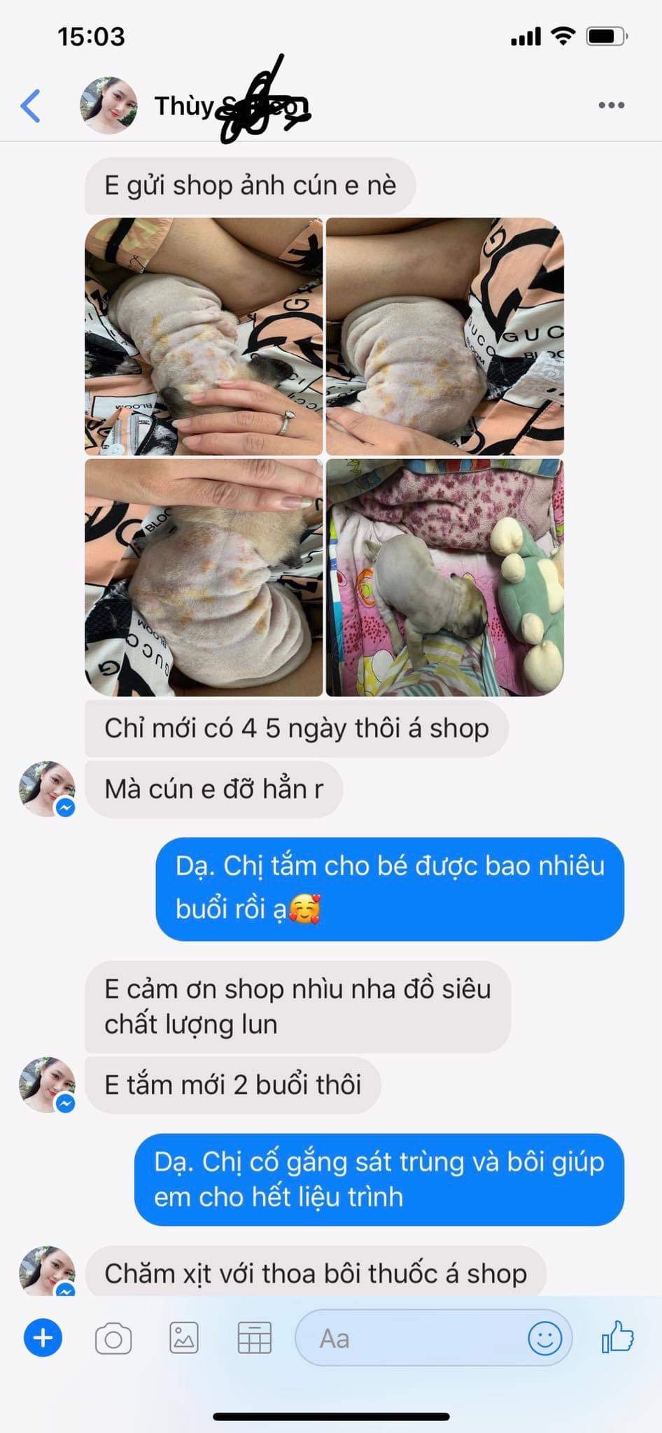Xịt trị nấm, viêm da, ghẻ chó mèo từ Thảo dược